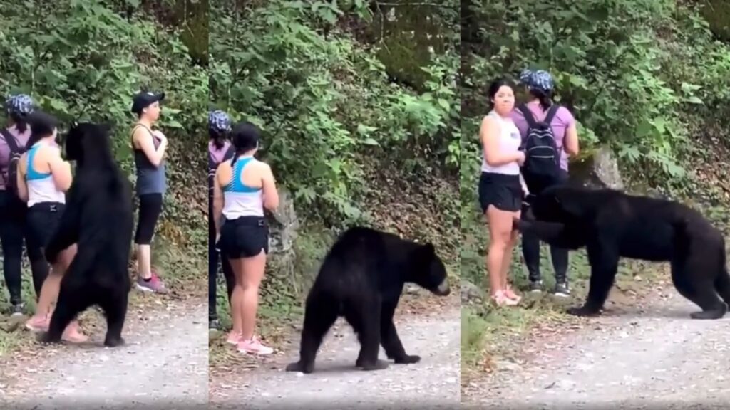 These Women Had a Surprisingly Calm Encounter On a Hike: ‘The Lack Of Freakout Here Is Amazing’ These Women Had a Surprisingly Calm Encounter On a Hike: 'The Lack Of Freakout Here Is Amazing'