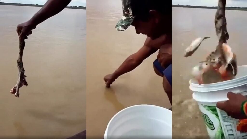 This Terrifying Fishing Technique Will Trigger Your Piranha Complex: ‘Imagine Losing Your Balance’ scary fishing technique