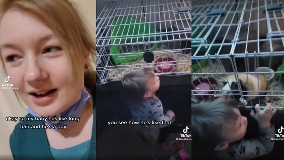 Mother Reveals Bizarre Mystery Barber Who Has Been Cutting Her Baby’s Hair: ‘Edward Scissor Mouth’