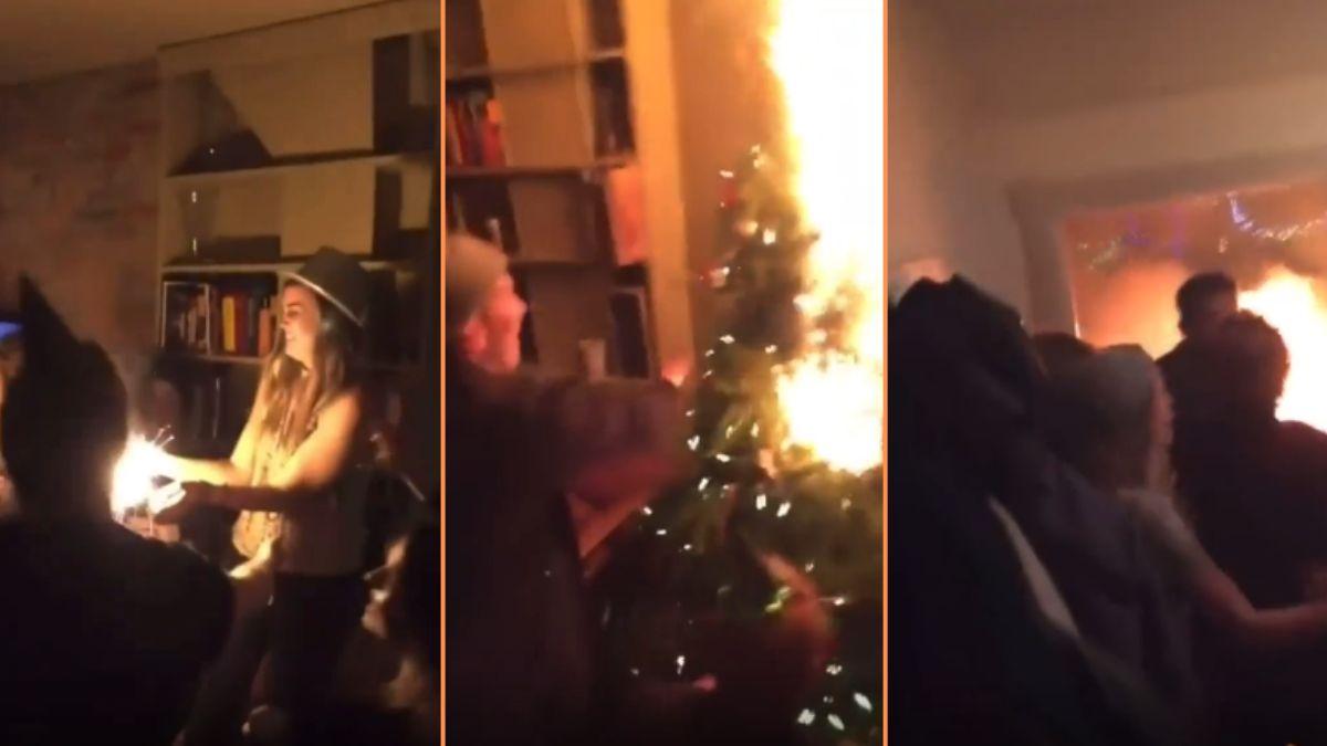 Drunk Karen Gets Carried Away and Burns Down Christmas Tree: ‘Quick! Block the Exit With the Flaming Tree!!!’