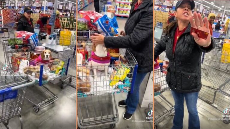 Man Confronts Woman At Supermarket About Non-Service Dog Inside Cart: ‘Finally Somebody Said Something!!!’ Man Confronts Woman At Supermarket About Non-Service Dog Inside Cart 'Finally Somebody Said Something!!!'
