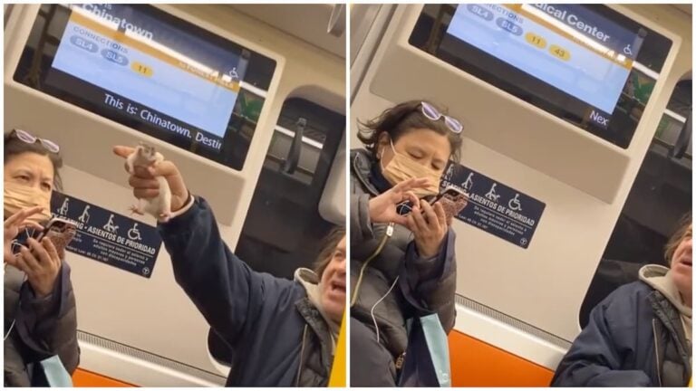 Boston Man, aka Orange Line Rat Guy, Harasses Subway Riders While Wielding a Rodent: ‘Welcome to Your Nightmare’ Boston-Man-aka-Orange-Line-Rat-Guy-Harasses-Subway-Riders-While-Wielding-a-Rodent