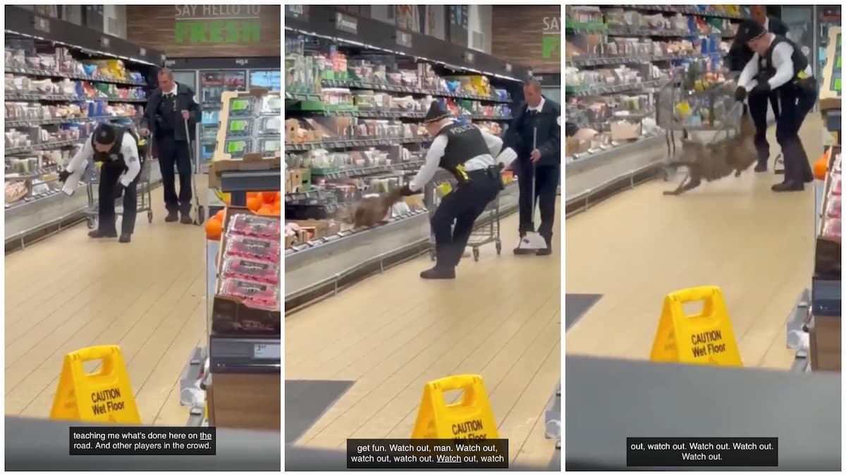 Chicago Police Officer Pulls a Coyote Out of a Fridge in an Aldi Supermarket: ‘Please PLEASE Tell Me It Was an ACME’