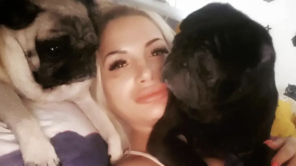 Romanian Dog Owner Eaten by Her Pugs: ‘Well, They’re Not Hungry, That’s for Sure’