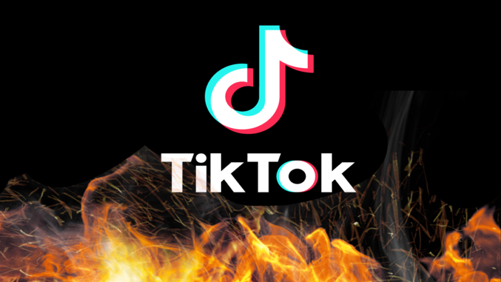 TikTok ‘Will Be Forced To Go Dark on January 19’: ‘This Is Just the Beginning of GOP Censorship’ TikTok Logo with Fire