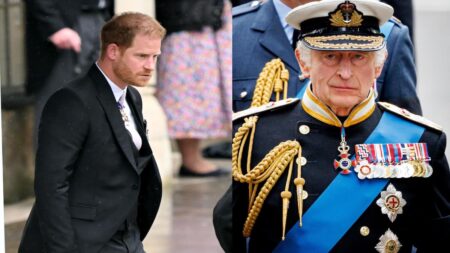 Prince Harry ‘Does Not Deserve a Dime’ as King Charles Reportedly Cuts Inheritance: ‘Animosity Runs Deep’ Prince Harry to be cut from inheritance by King Charles