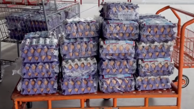California Costco Shoppers Roasted for Trying To Return Over a Thousand Eggs After Finding a Better Deal Elsewhere: ‘That’s an Eggpensive Mistake’ California Costco Shoppers Roasted for Trying To Return Over a Thousand Eggs