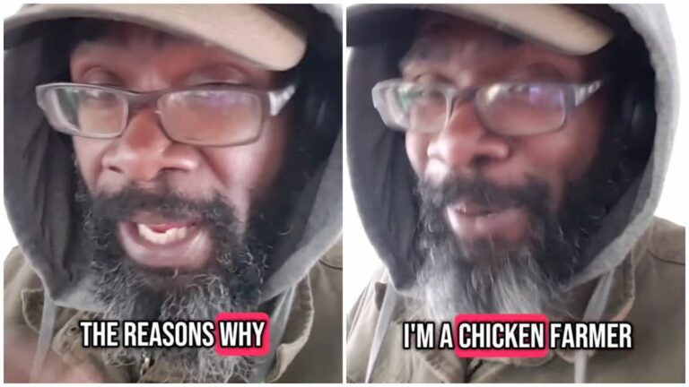 ‘I’m a Chicken Farmer and They Are Bulls****ing You About the Reasons Why Your Eggs Are So Expensive’: American Chicken Farmer Reveals the “Real” Reasons Why Eggs Are So Costly in Viral Clip Chicken farmer in US