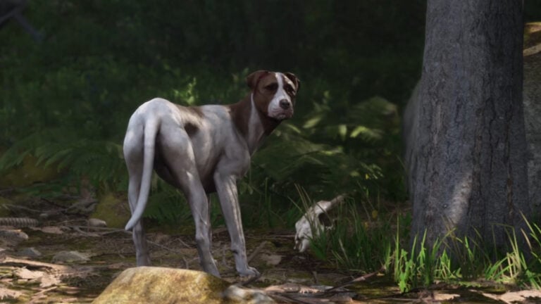 Where Is Mutt in Kingdom Come Deliverance 2?