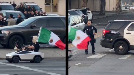 Los Angeles mini Tesla Mexican husky