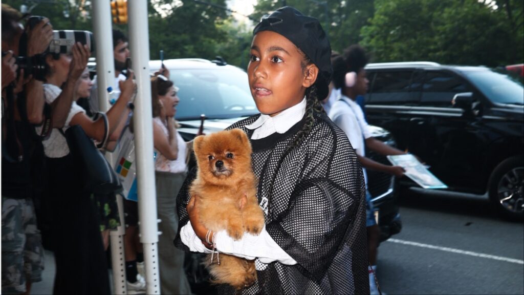 North West at an NYC Hotel with her dog