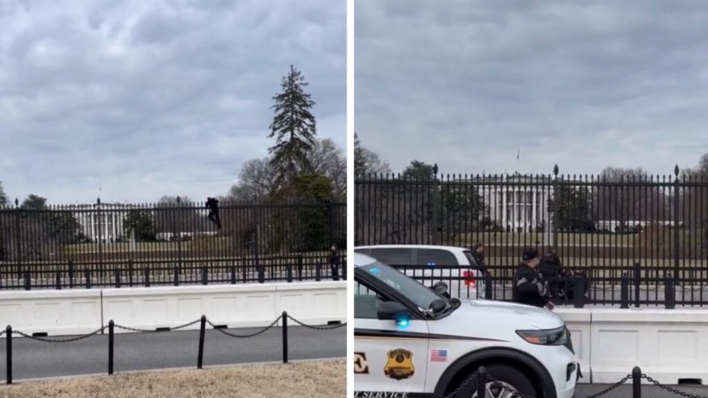 Washington Man Tries To Scale the White House Fence Only To Be Stopped in Seconds, ‘Service Was So Chill About It’ Man Climbing White House Fence