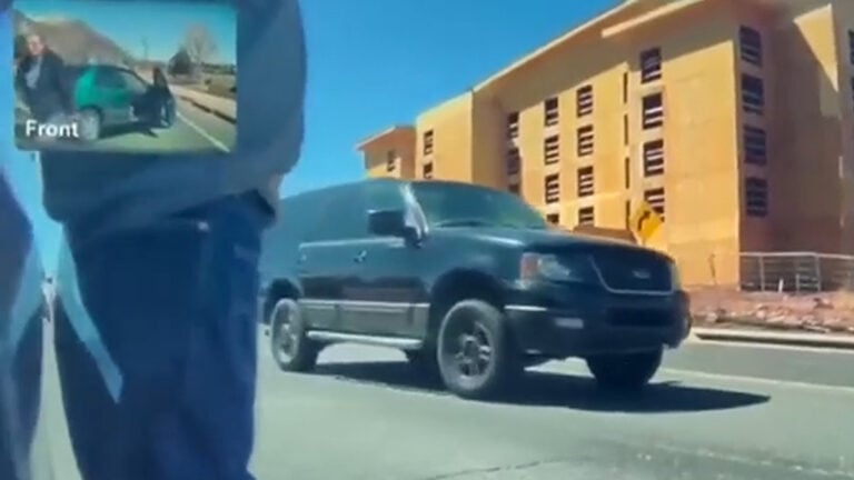 61-Year-Old Arizona Woman Assaulted for Driving a Tesla: ‘These People Have Lost Their Minds'
