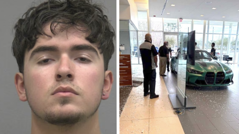 ‘Classic Florida Man’ Crashes Car Into Dealership After Failing To Pass Credit Check for $110K BMW: ‘That Is Not How You Should Do a Trade-In’ Florida Man Crashes Car Into Dealership After Failing To Pass Credit Check for $110K BMW