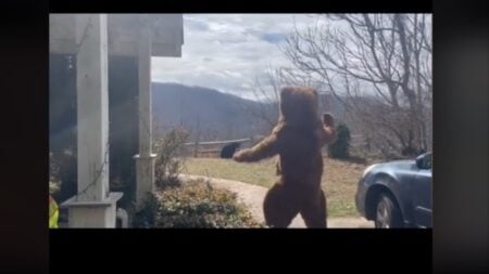 Man dresses in a bear costume to scare a real bear out of his yard