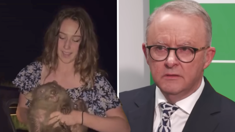 Montana Influencer ‘Insults Australians’ and Calls Prime Minister a ‘Villain’ After Getting Slammed for ‘Kidnapping’ Wombat From Its Mother: ‘Hypocrisy at Its Finest’ Montana Influencer 'Insults Australians' and Calls Prime Minister 'Villain' After Getting Slammed for Taking Wombat From Its Mother