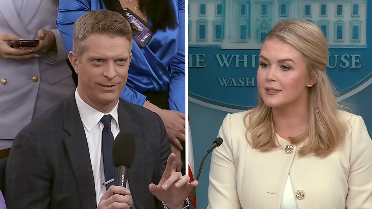 Press Secretary Karoline Leavitt Roasted by Correspondent During White House Briefing: ‘People Publicly Correcting Others Who Are Loud and Wrong Brings Me Great Joy’