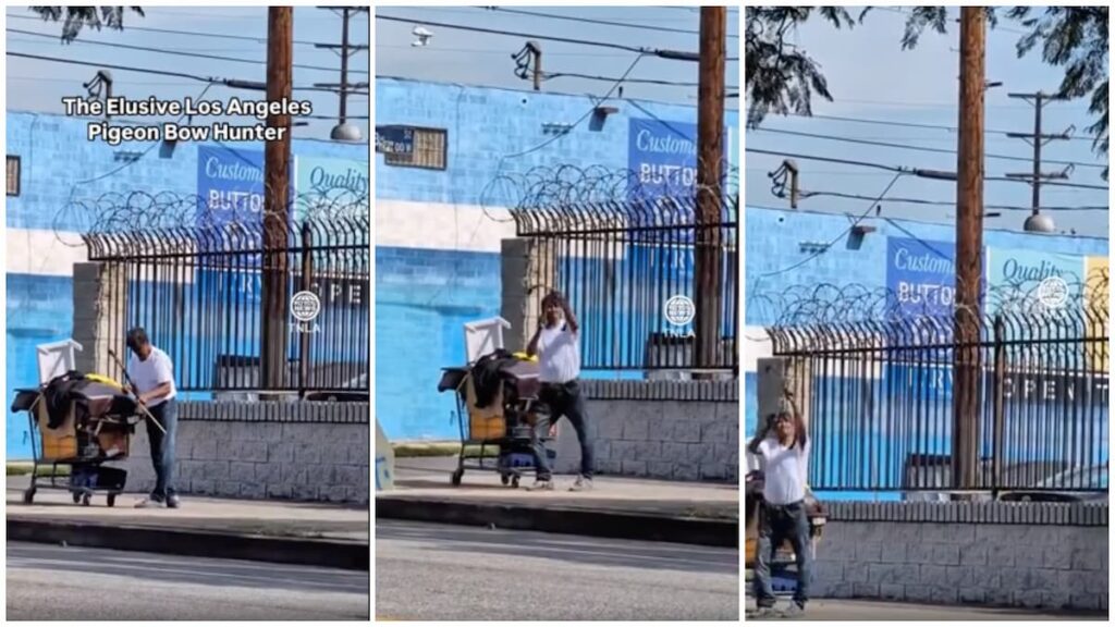 The Los Angeles “Pigeon Bow Hunter” Caught on Camera Actively Trying to Shoot Feral Pigeons to Eat: ‘Looks Like the New Trailer for the Next Marvel Movie. Hood Rat Hawkeye!!!’ The Los Angeles "Pigeon Bow Hunter" Caught on Camera Actively Trying to Shoot Pigeons for Dinner