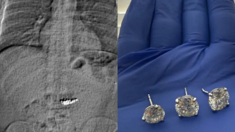 Recovered Stolen Tiffany & Co. Diamonds