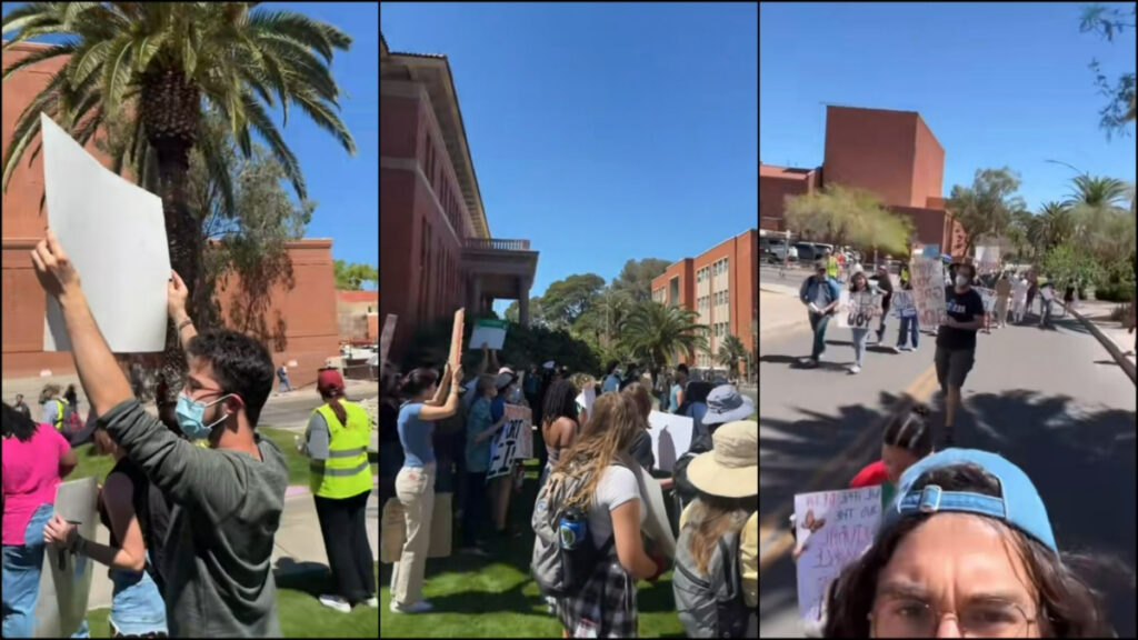 Protestors at the University of Arizona in Tucson advocating for DEI