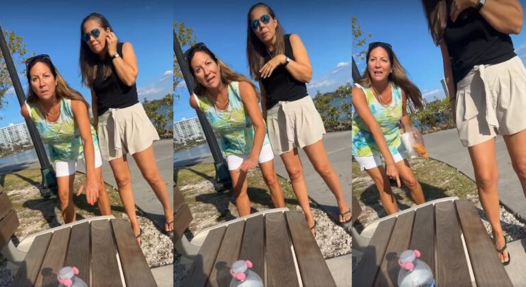 Florida Karen loses it in Sarasota park