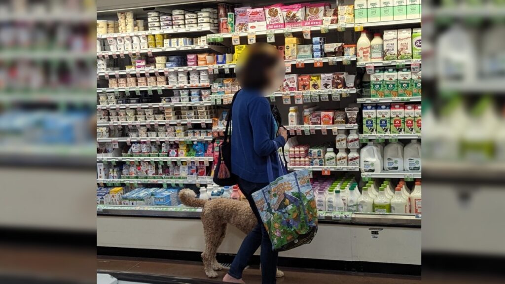 Cedar Park Sprouts Farmer Market