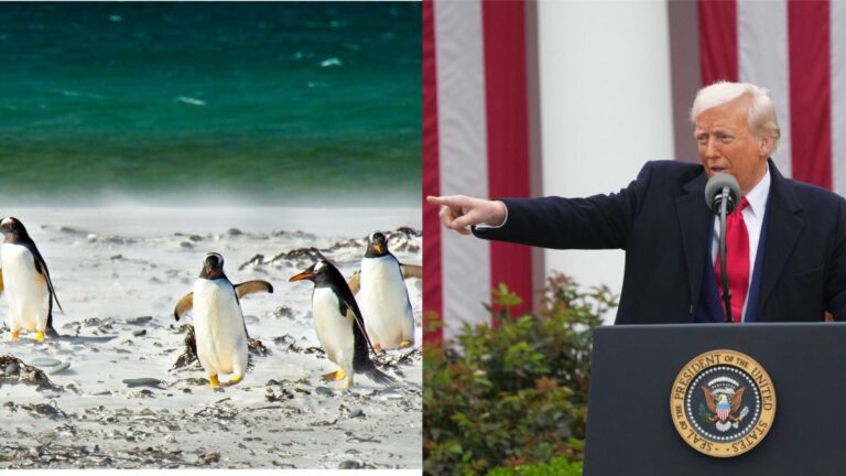 New Yorker Commerce Secretary Says Trump Imposed Tariffs on Islands 'Where Only Penguins Live' Because of China: 'Those Cunning Penguins!'