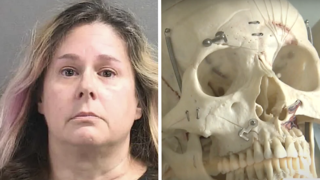 ‘Morbid’ Florida Woman Sells Human Bones on Facebook Illegally: ‘Where There’s Demand, There Will Be a Supplier’ Florida Woman Arrested for Selling Human Bones