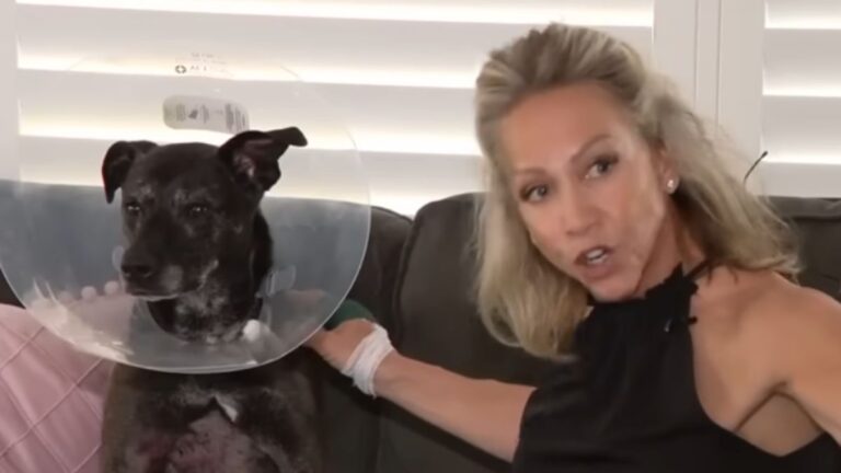 Florida Woman Wrestles Gator to Snatch Dog from Jaws of Danger 'I Didn't Even Think'