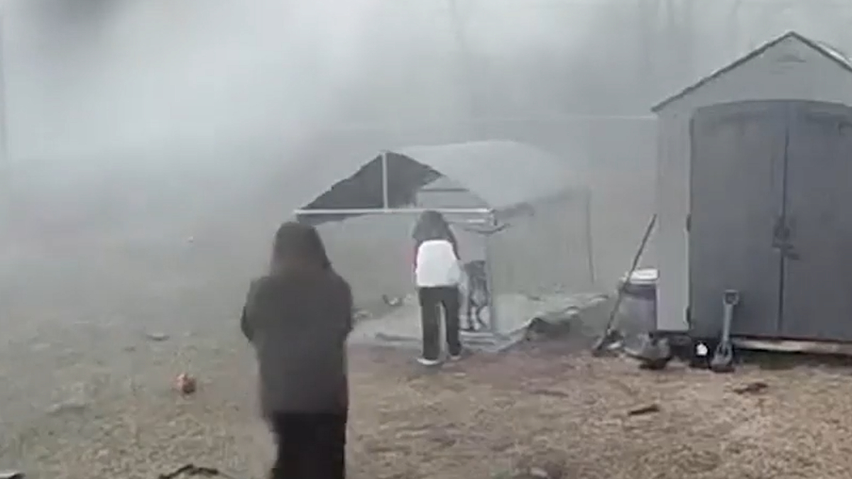Tornado Strikes Just Seconds After Family Saves Dog in Indiana: ‘Why’d They Wait So Long?’