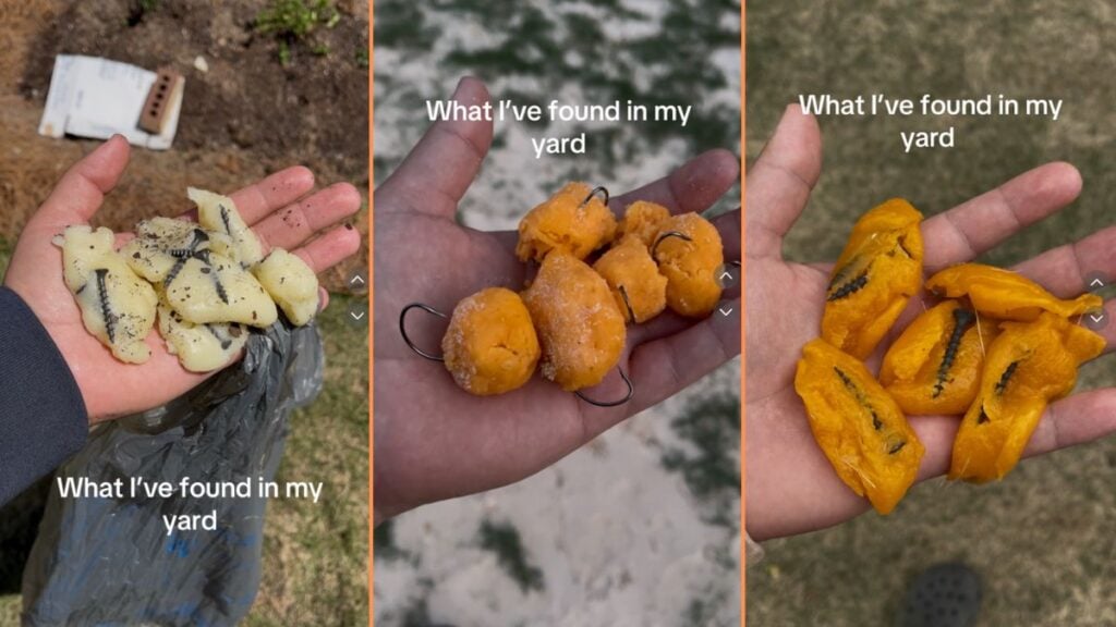 Texas Dog Owner Finds Poisoned Dog Treats in Backyard 'This is so Alarming'