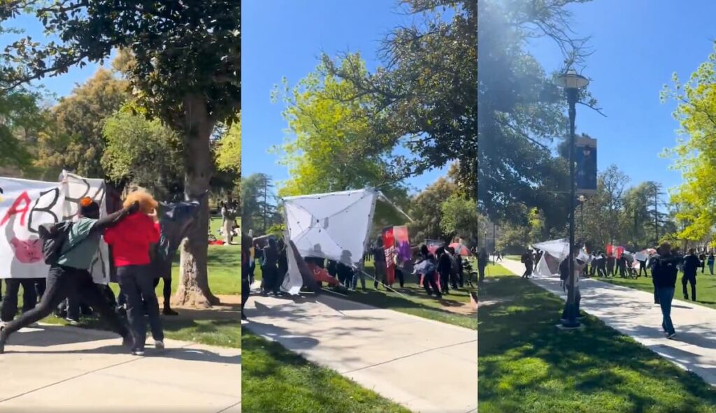 Antifascist Protesters Clash With Right-Wing Group in Wild Confrontation at University of California, Davis: ‘Modern police officers are cowards’ University of California, Davis protest turns ugly