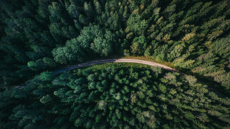 Washington Forests on the Chopping Block: Trump Opens Logging Floodgates: ‘This Will Not Go Well’ Washington Forests on the Chopping Block: Trump Opens Logging Floodgates: ‘This Will Not Go Well'
