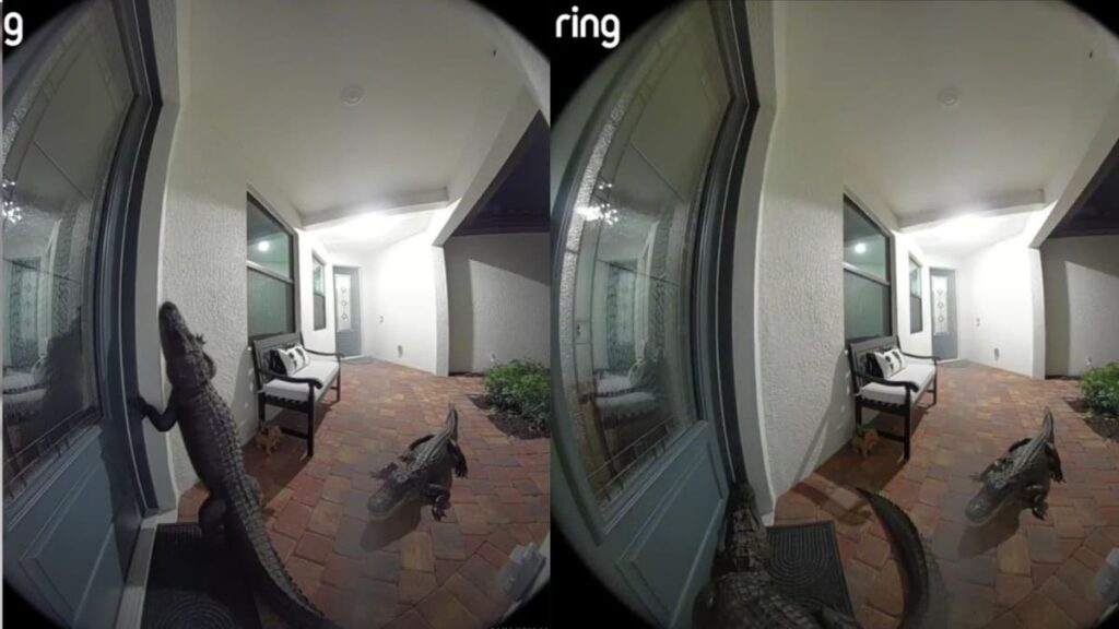 Florida Man Finds Terrifying Visitors Outside His Door: ‘Not Them Ringing the Damn Doorbell’ A picture outside the house of the Florida man.