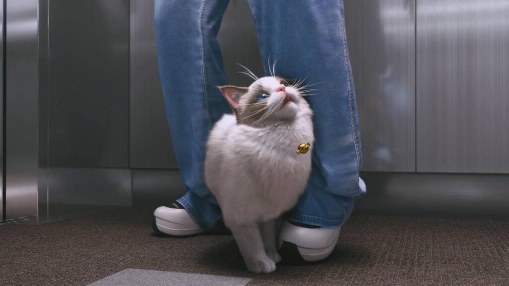 More Fluffy Friends Besides Psycat Could Come to inZOI inZOI pet teaser