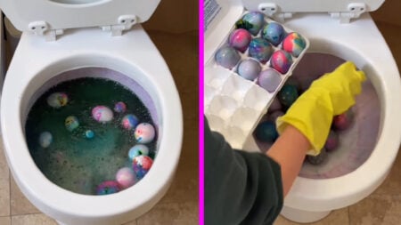 minnesota content creator katewilltryanything dyeing easter eggs in toilet