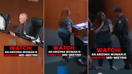 Arizona Woman Arrested for Questioning a City Official's Pay 'Sue Them Into Bankruptcy'