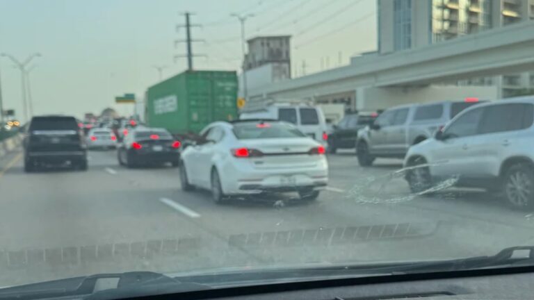 Dallas Hit and Run I-35