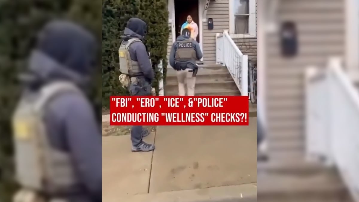 Fake ICE Agents Spotted in Illinois Doing ‘Wellness Checks’ on People, ‘Imagine Wearing an American Flag While You Act like a Fascist’