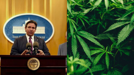 DeSantis Allies Accused of Using Florida Medicaid Money to Fight Legal Weed: ‘Republicans Will Stop That From Occurring'