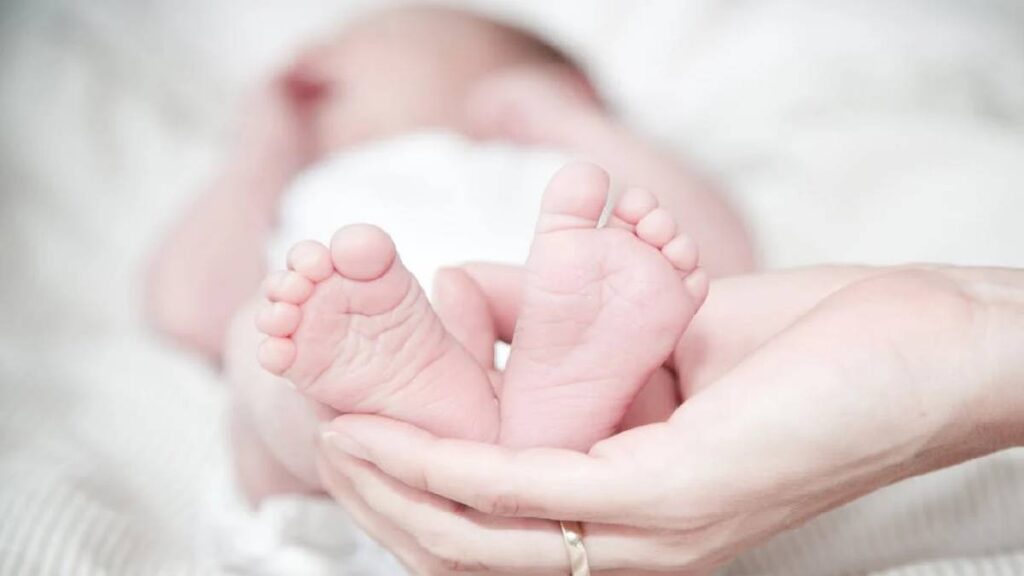 Minnesota adopt brother child