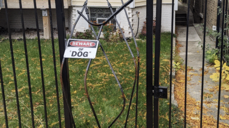 North Carolina Neighbor Cuts Down Tree, Falls on Homeowner’s Fence Before House Goes up for Sale