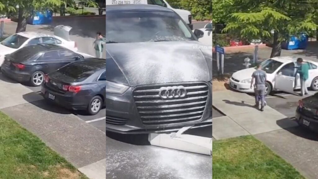 Seattle Woman in a Fit of Rage Sprays Car With Strange White Powder Over Paid Parking Dispute: ‘You Really Lucky That’s All It Was’