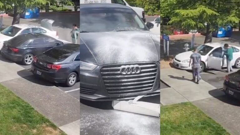 Seattle Woman in a Fit of Rage Sprays Car With Strange White Powder Over Paid Parking Dispute: ‘You Really Lucky That’s All It Was’