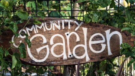 Queens Community Garden Faces Eviction Over Anti-Zionist Membership Policy: ‘Super Not Surprised’