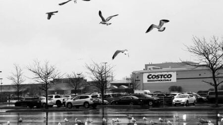 a chef in florida buys spoiled lamb from costco