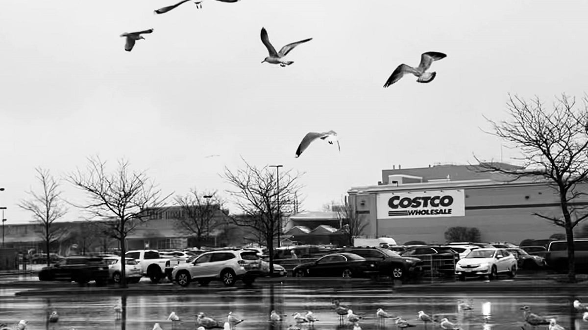 Florida Chef Accuses Costco of Selling Spoiled Lamb, “There’s a Second Label Under the Label”