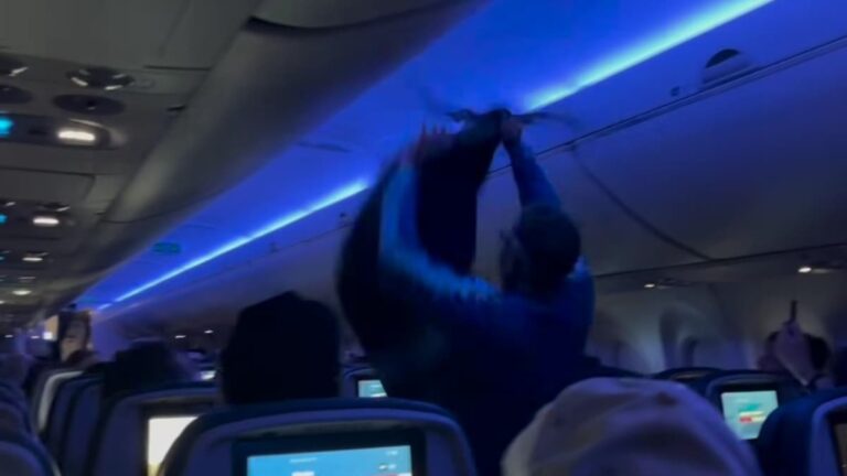 Minnesota Flight Left in Chaos After Pigeons Are Found On Board: ‘It Is My Emotional Support Pigeon’ A picture inside the Minnesota flight.