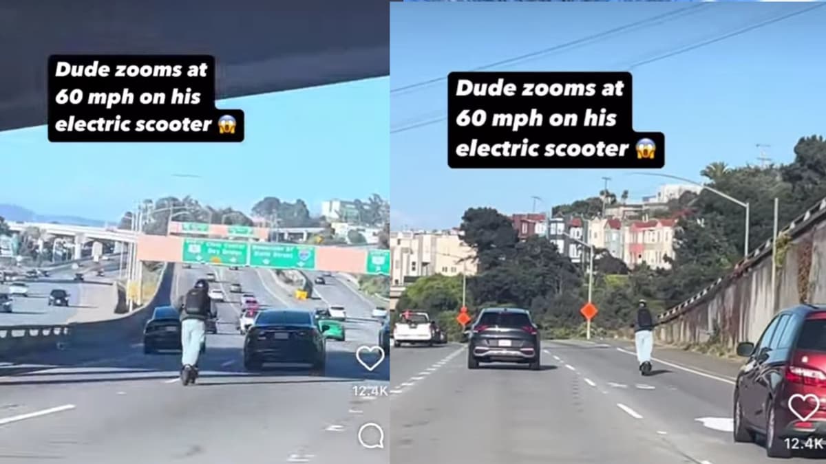 Insane California Man Has a Death Wish on the Freeway: ‘Organ Donor’