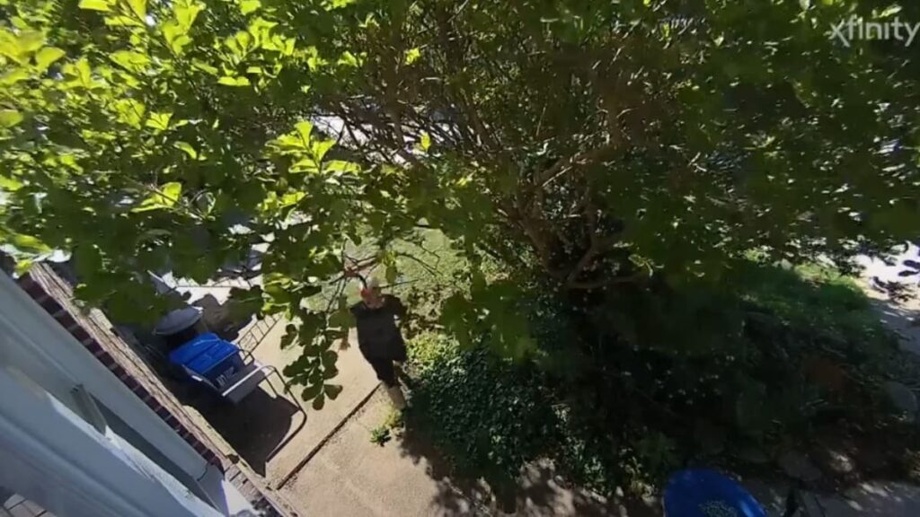 Philadelphia Man Threatened by Insane Neighbor Whom Police Refuse to Arrest: ‘Get a Lawyer’ A picture of the Philadelphia man's neighbor.